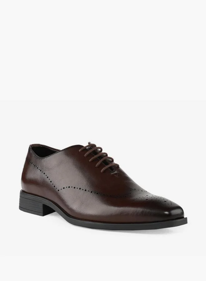 LBL By Shoexpress BROWN Men Lace-Up Brogue Shoes for Men | Best Price UAE