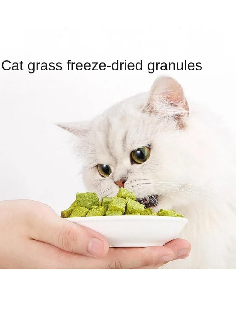 Cat Grass Teething Stick Cat Grass Granules Cat Grass Chew Stick Cat Teeth Cleaner Cat Grass Sticks for Indoor Cats Catnip Toys Sticks for Hairball Removal Cat Dental Treats Catnip Sticks for Cats - Image 2