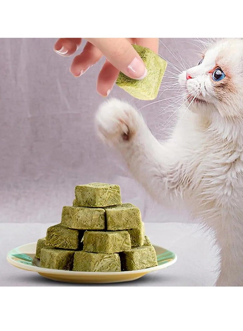 Cat Grass Teething Stick Cat Grass Granules Cat Grass Chew Stick Cat Teeth Cleaner Cat Grass Sticks for Indoor Cats Catnip Toys Sticks for Hairball Removal Cat Dental Treats Catnip Sticks for Cats - Image 4
