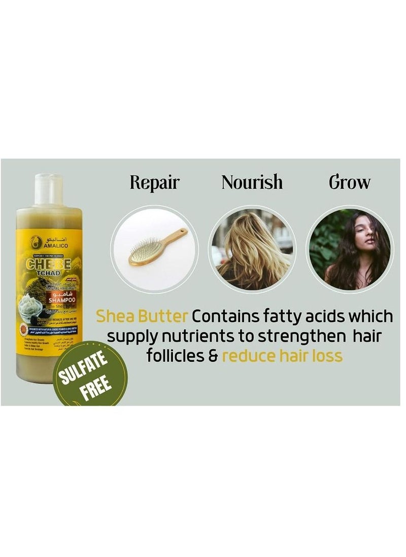 AMALICO - Chebe Shampoo for Hair Growth with SHEA BUTTER - Ready-to-Use with Chebe Powder for Hair Growth, Palm Oil, Sweet Almond Oil, Olive Oil, Sulphate Free, Parapen Free (500) - Image 1