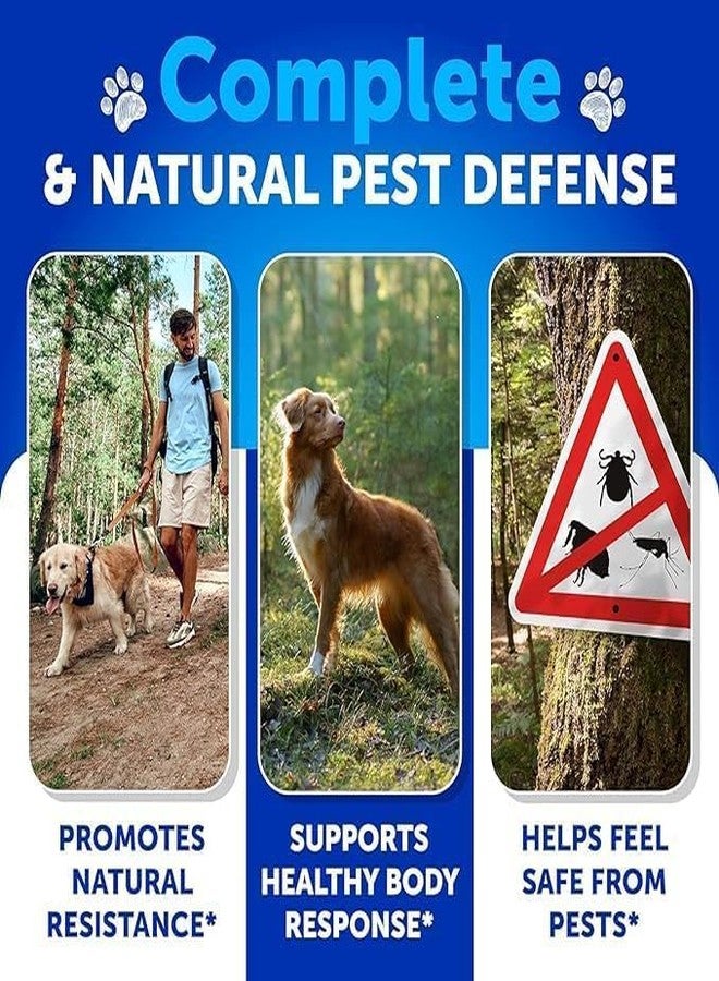 Artullano Flea and Tick Prevention for Dogs Chewables - Natural Flea Treatment Control - Supplement for Large & Small Dogs with Vitamins - Immune Support Chews - Puppy Pest Defense Oral Pills - 120 Soft Treats - Image 3