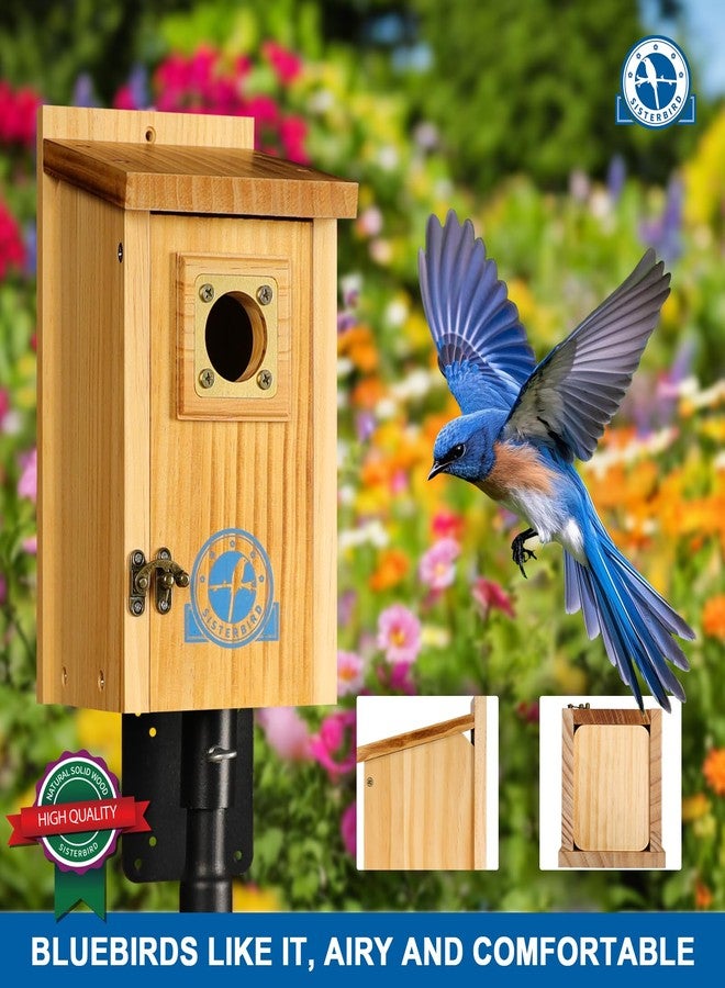 SISTERBIRD Pack of 2 Premium Bluebird Houses for Outside, Assembled Bird House Gift, Garden Decoration Bluebird House, Copper Predator Guard, Easy to Clean Bird Nesting - Image 2