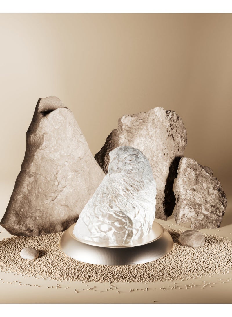 كريستال آرك تمثال صقر كريستال - ديكور كريستال فاخر - هدية أنيقة لعشاق الطيور - ديكور منزلي فاخر مصنوع يدويا - تشطيب عالي الجودة - Image 2