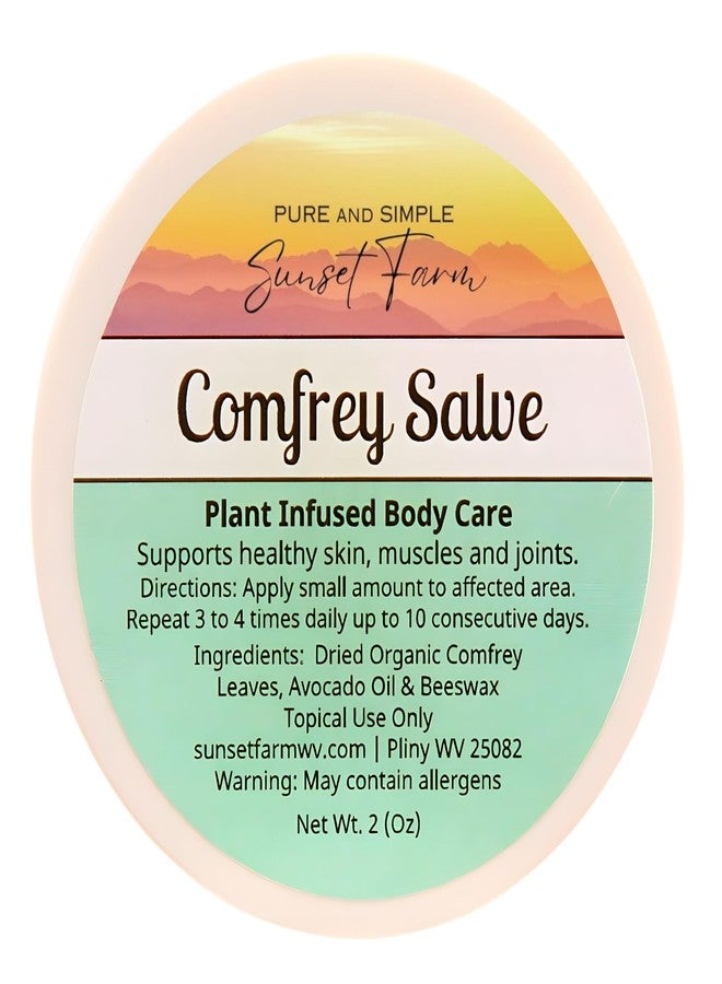 Comfrey Salve | Organic, Non-GMO, Small-Batch Herbal Balm | Family Made in WV | 2 oz Jar - Image 1