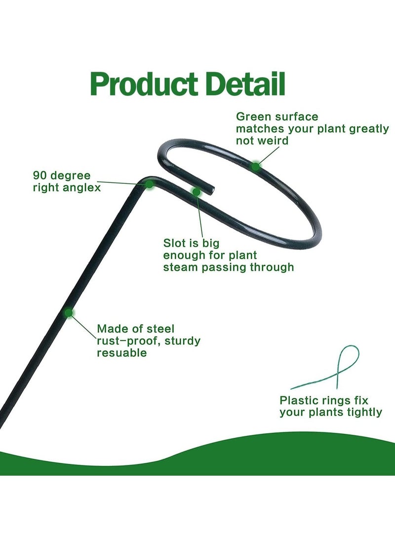 واي آند دي Plant Support Stakes, 12 Pcs Single Stem Stake with 40 Clips Garden Flowers Amaryllis Stakes Flower for Flowers, Orchid, Peony, Lily, Rose - Image 3