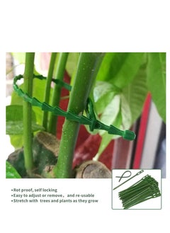 Y&D Plant Support Stakes, 12 Pcs Single Stem Stake with 40 Clips Garden Flowers Amaryllis Stakes Flower for Flowers, Orchid, Peony, Lily, Rose  - Image 4