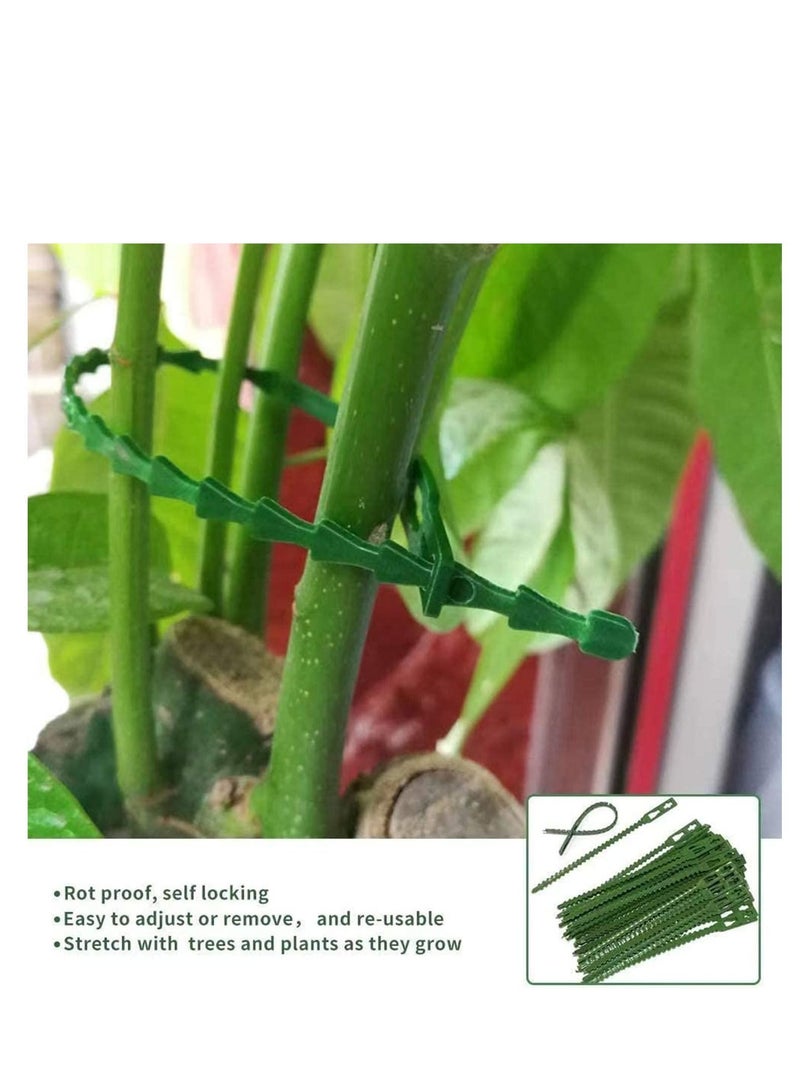 واي آند دي Plant Support Stakes, 12 Pcs Single Stem Stake with 40 Clips Garden Flowers Amaryllis Stakes Flower for Flowers, Orchid, Peony, Lily, Rose - Image 4