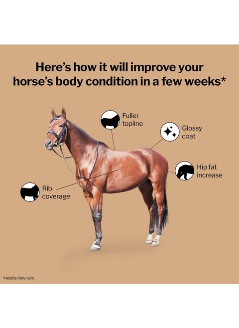 Formula 707 Weight Gain Crumble Equine Supplement, 7lb Bucket - Palatable, Calorie-Rich Nutritional Support for Hard-to-Keep and Senior Horses