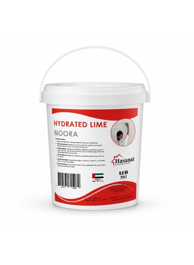 Hasanat Essentials Hydrated Lime Powder (Noora) 500g, High Purity Calcium Hydroxide for Whitewashing, Lime Wash, Mortar, Plaster, Gardening & DIY Applications - Image 1