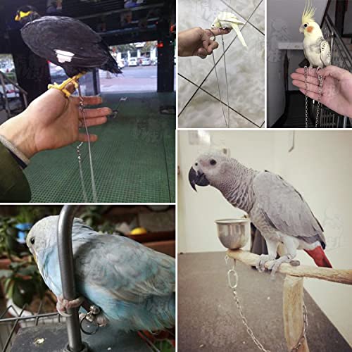 TOPINCN سلسلة أقدام الطيور TOPINCN من الفولاذ المقاوم للصدأ لتدريب الطيور في الهواء الطلق، حلقة كاحل للباروت، ملحقات حزام الطيور لمنع الهروب - Image 4