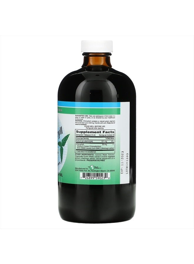 WORLD ORGANIC CHLOROPHL Mint 50MG - Image 2