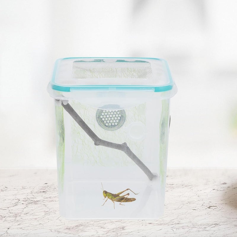 Mantis Enclosure and Small Reptile Terrarium Incubator Box for Insect Breeding, Habitat Container Suitable for Pet Mantises and Geckos - Image 4