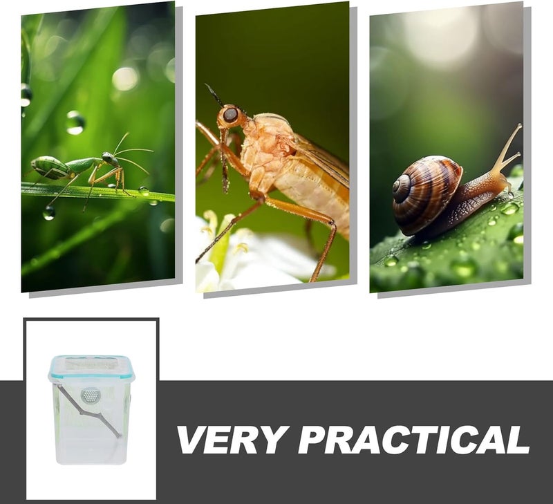 Mantis Enclosure and Small Reptile Terrarium Incubator Box for Insect Breeding, Habitat Container Suitable for Pet Mantises and Geckos - Image 3