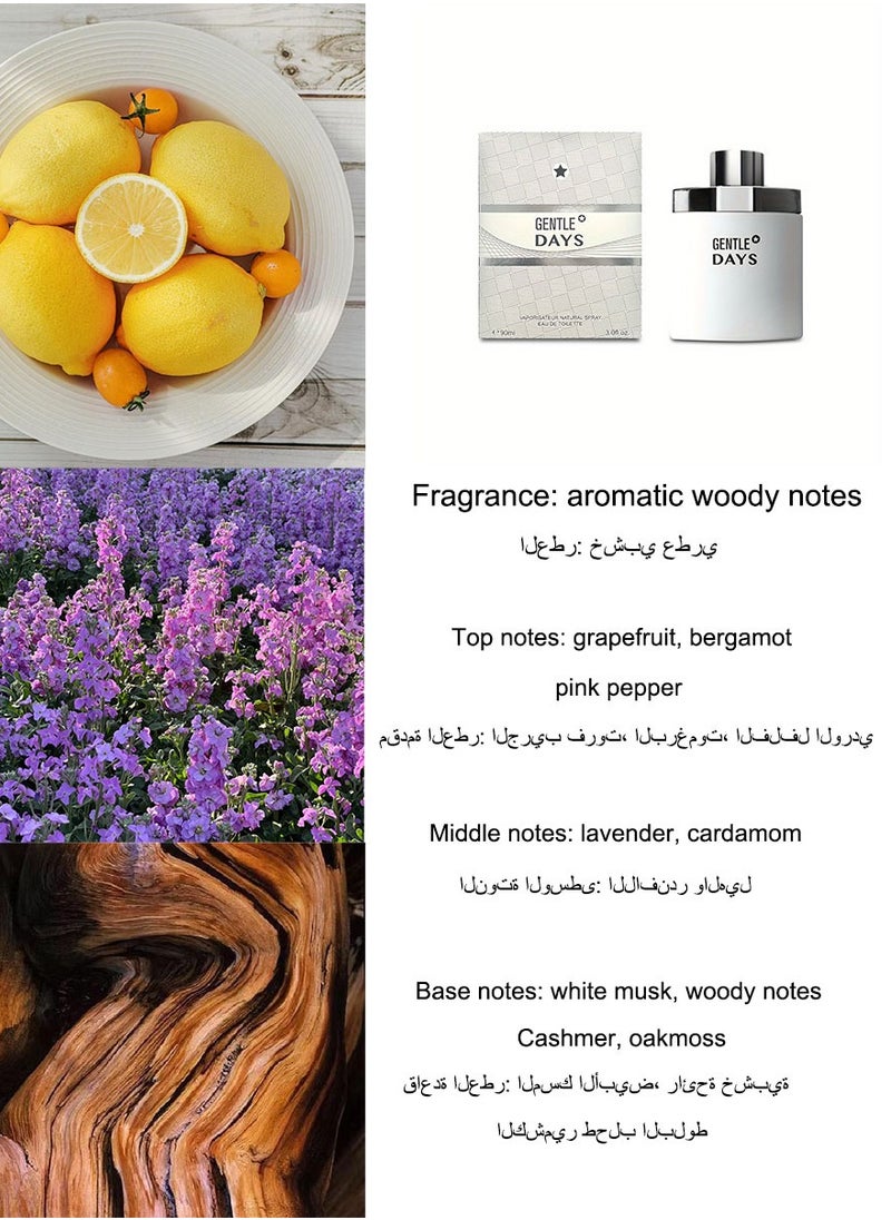 GENTLE DAYS/Aromatic Woody Perfume/90ML - pzsku/ZFE6B3BA555EA0D774F11Z/45/_/1736318496/bd028f04-b738-4590-86c9-915823a0aac1