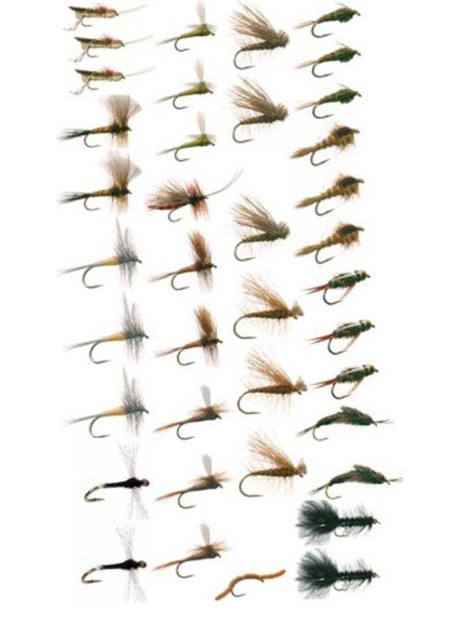 Discountflies Western Trout Fly Fishing Flies Collection 39 Flies and Fly Box - Image 1