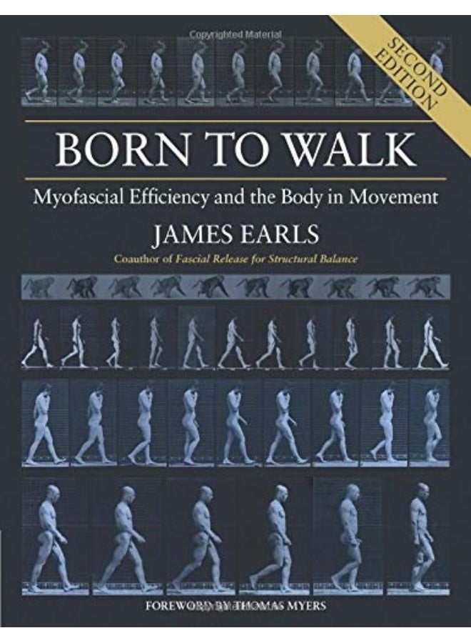Born to walk: myofascial efficiency and the body in movement  - Image 1