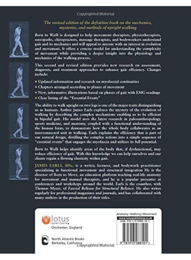 Born to walk: myofascial efficiency and the body in movement  - Image 2