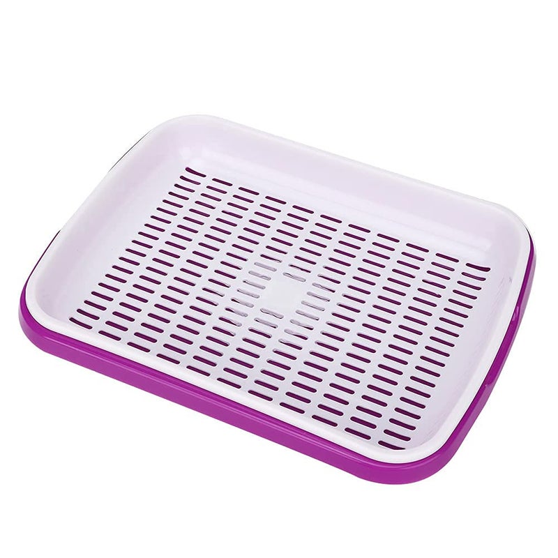 Divik Divik Double Layer Bean Sprouts Plate Seedling Tray Multipurpose Sprout Maker Tray Plastic Seed Germination Tray Sprouting Tray Sprouts Beans Tray  - Image 1