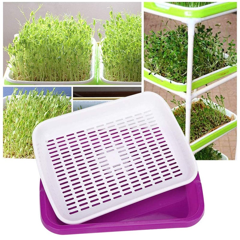 Divik Divik Double Layer Bean Sprouts Plate Seedling Tray Multipurpose Sprout Maker Tray Plastic Seed Germination Tray Sprouting Tray Sprouts Beans Tray  - Image 4
