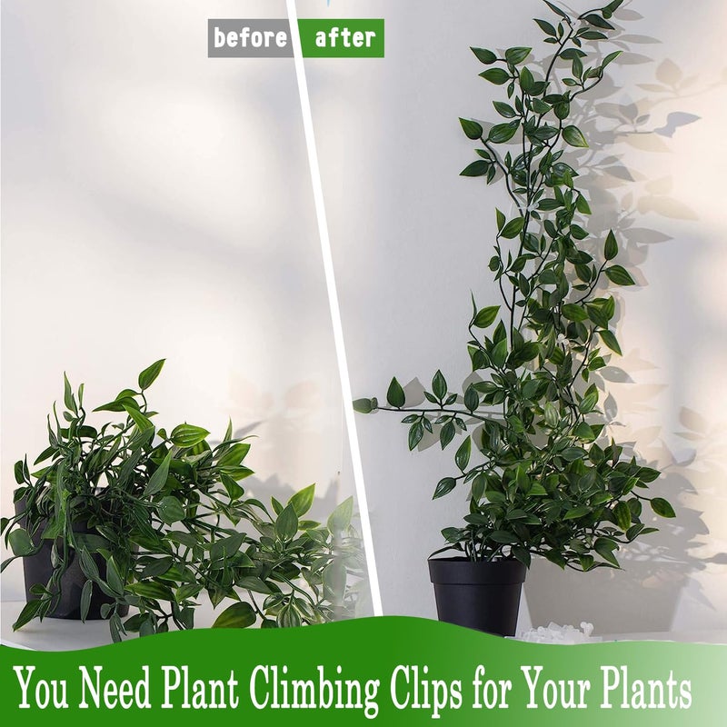 Tmofs 100Pcs Plant Climbing Wall Fixture Clips,Plant Fixer Invisible Wall Vines Fixing Clips Self-Adhesive Clips Plant Vine Traction for Indoor Outdoor Decoration and Cable Wire Fixing (Green) - Image 5