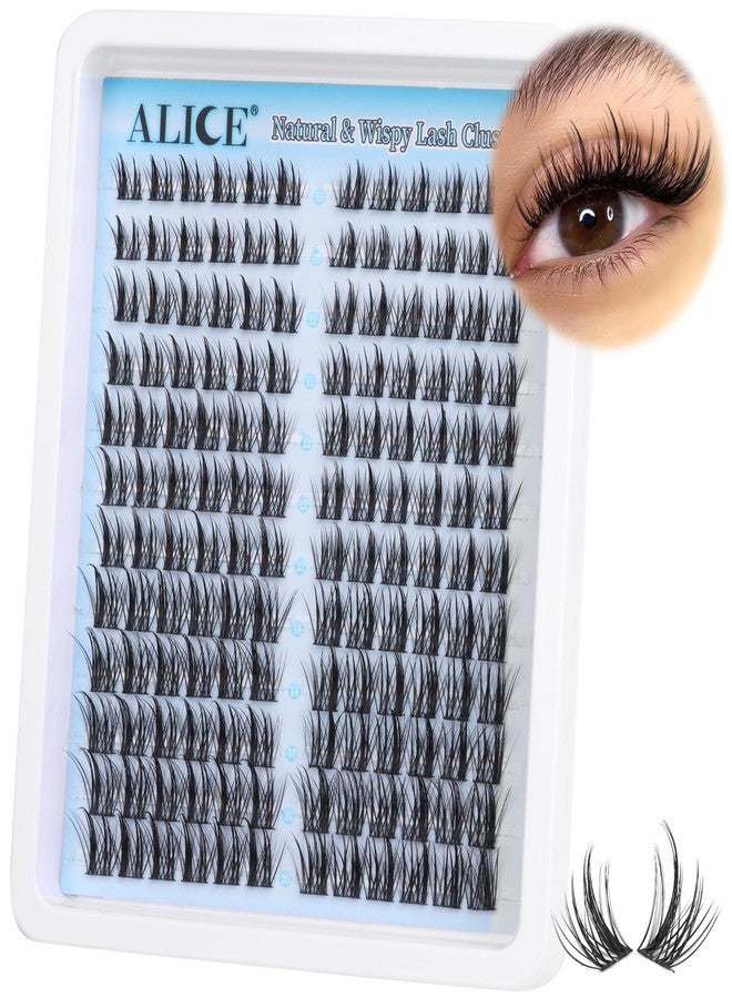 ALICE Natural Lash Clusters DIY Lash Extensions Wispy Eyelash Clusters Anime Cat Eye Cluster Eyelash Extensions10-16mm Individual Lashes 144pcs - Image 1
