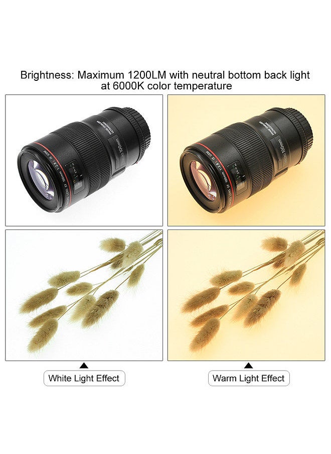 PULUZ - PULUZ 1200LM LED Photography Shadowless Softbox Bottom Light +Switch Shadow-free Adjustable Lamp Panel Acrylic Material for Photo Shooting Tent Box No Polar Dimming Light (U S Plug) - Image 1