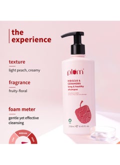 Plum Hibiscus & Ceramides Long & Healthy Shampoo | Hydrates & Conditions Hair, Prevents Split Ends |Contains Hibiscus Extracts, Ceramides | SLS & Paraben Free| 100% Vegan | 250ml  - Image 4