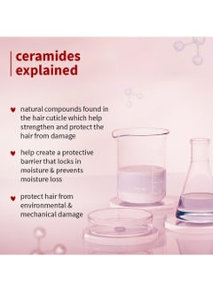 Plum Hibiscus & Ceramides Long & Healthy Shampoo | Hydrates & Conditions Hair, Prevents Split Ends |Contains Hibiscus Extracts, Ceramides | SLS & Paraben Free| 100% Vegan | 250ml  - Image 5