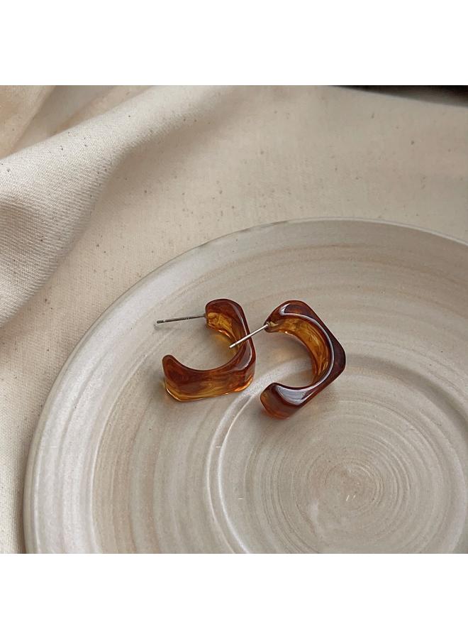 Retro Elegant Brown Earrings Female Geometric Blooming Acrylic Earrings Personality Fashion High Sense Earrings