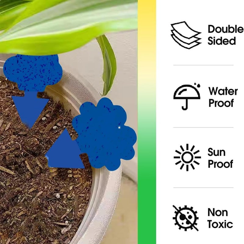 Cleanuper 58 Pcs Blue Flying Insect Traps for Plants,Indoors, Outdoors, Kitchen, Yellow Sticky Traps for Fungus Gnat, Fly and Fruit Fly, Flying Insects, Non-Toxic & Odorless, Kid & Pet Safe, Economic Pack - Image 5