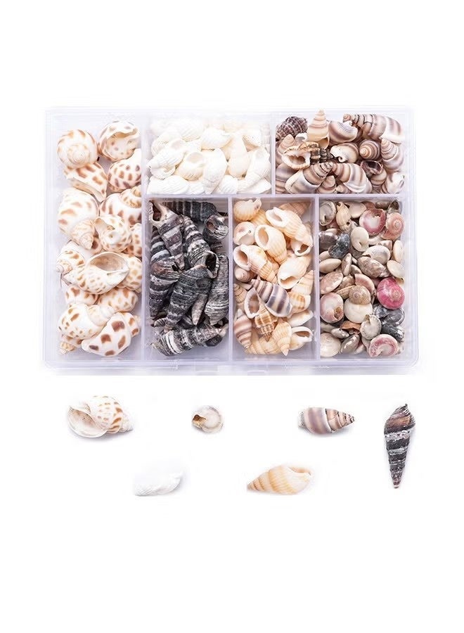 100PCS Open Back Natural Spiral Shell Beads, Spiral Conch Shells Charms, Beach Seashells Beads, Suitable For DIY Craft Jewelry Making ,Home Or Wedding Decoration - Image 1