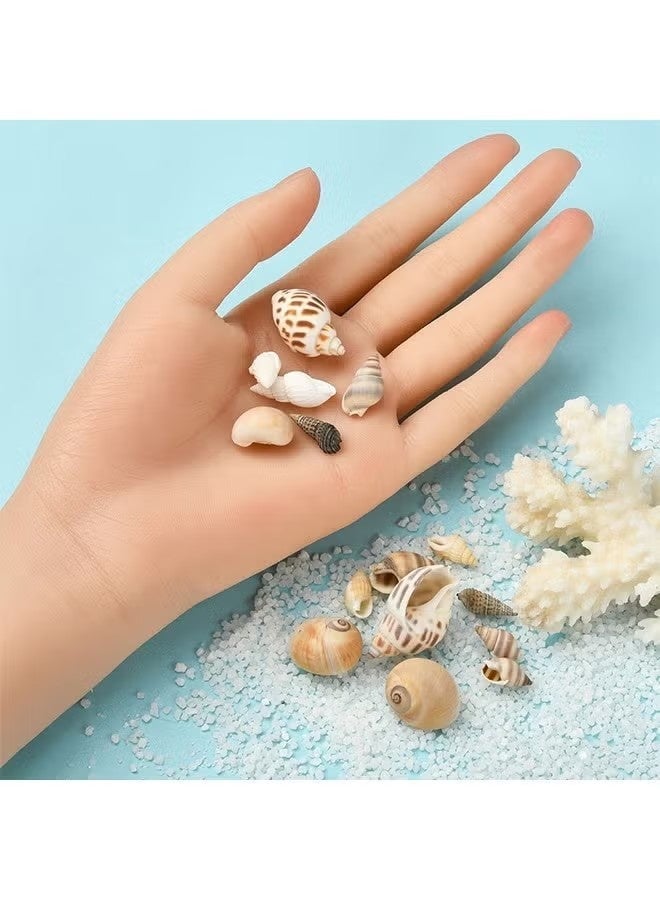 100PCS Open Back Natural Spiral Shell Beads, Spiral Conch Shells Charms, Beach Seashells Beads, Suitable For DIY Craft Jewelry Making ,Home Or Wedding Decoration - Image 3