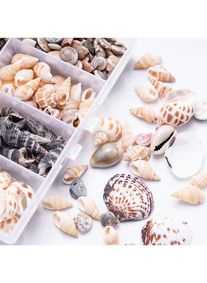 100PCS Open Back Natural Spiral Shell Beads, Spiral Conch Shells Charms, Beach Seashells Beads, Suitable For DIY Craft Jewelry Making ,Home Or Wedding Decoration - Image 2