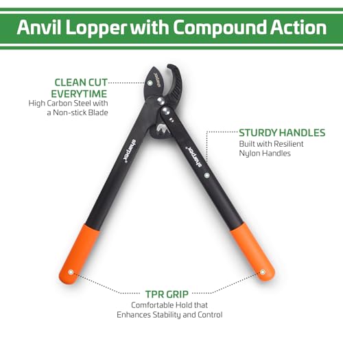 Sharpex Heavy-Duty Professional Anvil Lopper with Compound Action, 2-Inch Cutting Capacity, Sturdy Nylon Handles and TPR Grip | Reliable Garden Pruning Tool for Effortless Cutting – Black - Image 2