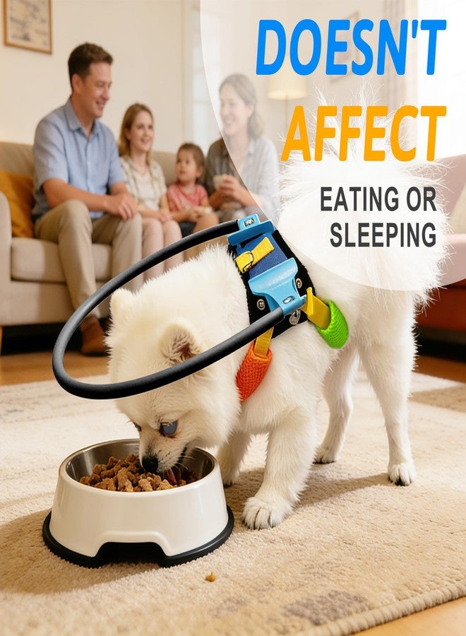 LetPetRun Blind Dog Halo Harness, Adjustable Blind Dog Collar with Protective Ring, Safe Walking Aid for Visually Impaired Pets, Comfortable Vest Design,13"-19" - Image 5