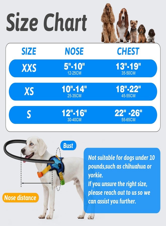 LetPetRun Blind Dog Halo Harness, Adjustable Blind Dog Collar with Protective Ring, Safe Walking Aid for Visually Impaired Pets, Comfortable Vest Design,13"-19" - Image 2
