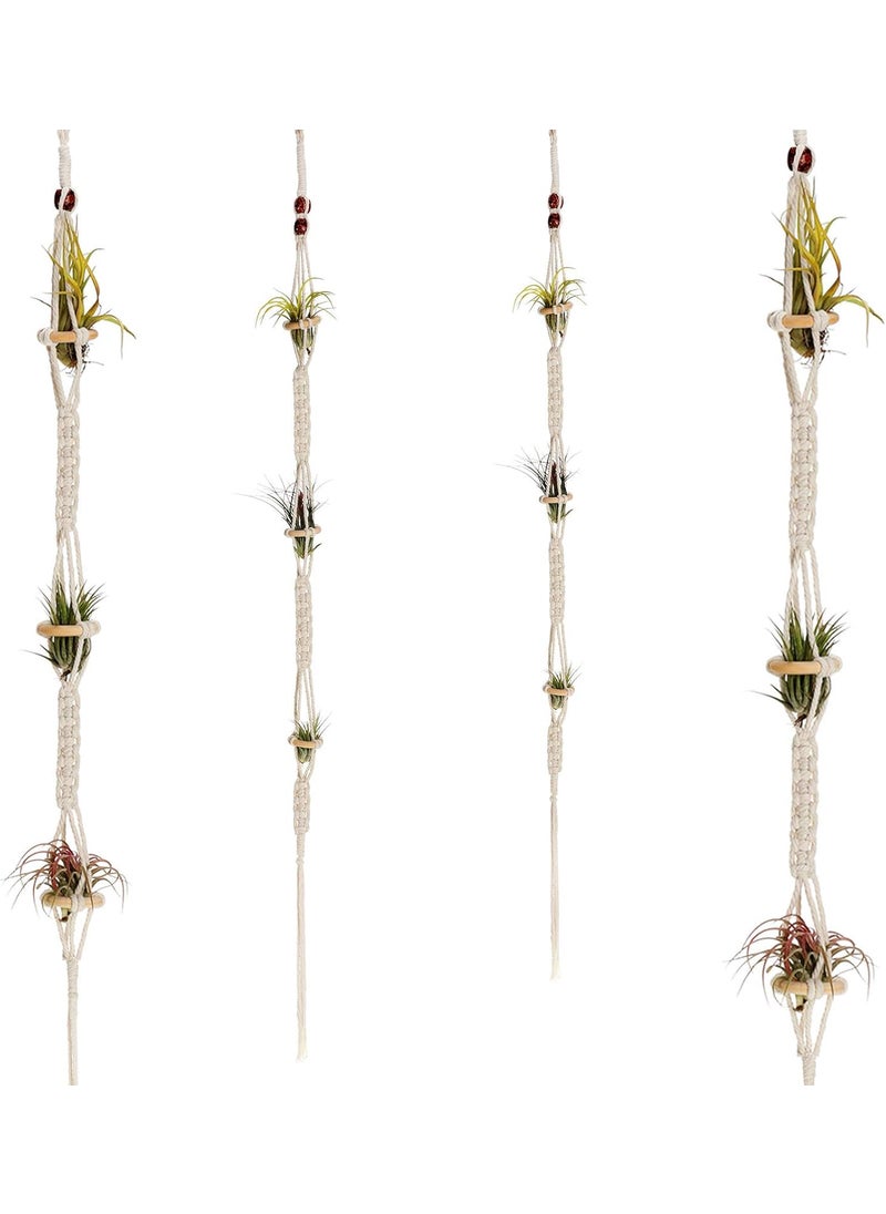 Shappy Shappy 4 Pieces Air Plants Holders Hanger Air Plant Wall Hanger Handmade Rope Hanging Plant Holder Woven with 4 Hooks for Home Decoration  - Image 1
