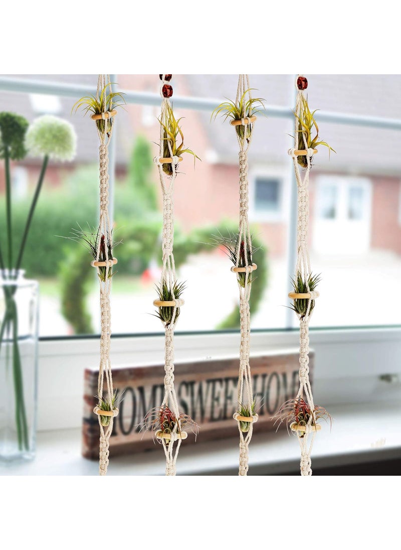 Shappy Shappy 4 Pieces Air Plants Holders Hanger Air Plant Wall Hanger Handmade Rope Hanging Plant Holder Woven with 4 Hooks for Home Decoration  - Image 5