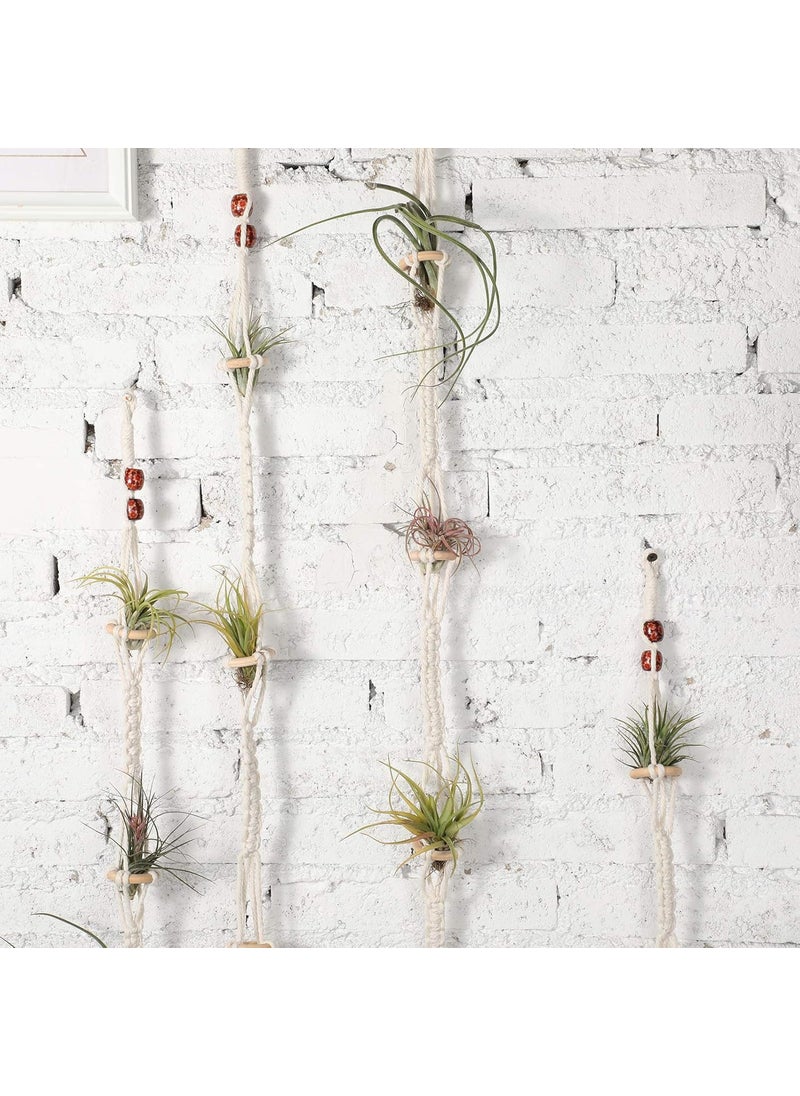 Shappy Shappy 4 Pieces Air Plants Holders Hanger Air Plant Wall Hanger Handmade Rope Hanging Plant Holder Woven with 4 Hooks for Home Decoration  - Image 3