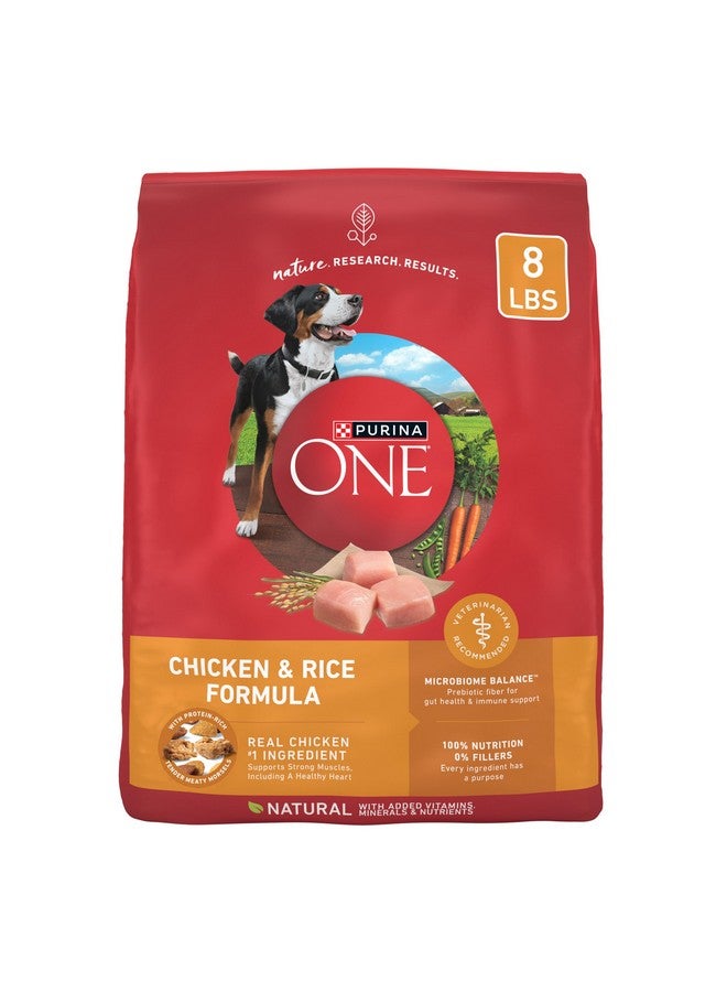Purina ONE Purina ONE Chicken and Rice Formula Dry Dog Food - 8 lb. Bag - Image 1