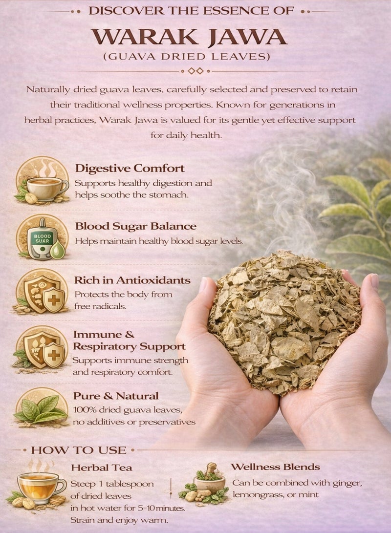 زهر أوراق الجوافة الجاوية (أوراق الجوافة المجففة) - أوراق جوافة طبيعية فاخرة | أوراق مجففة سائبة 100% للاستخدام في البستنة والزراعة وعلم النبات والأعشاب. - Image 2