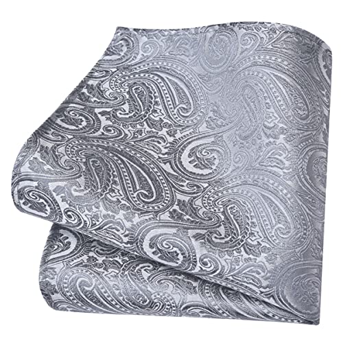 GUSLESON Mens Sliver Grey Tie for Wedding Gray Paisley Necktie Pocket Square Cufflinks and Lapel Pin Brooch Set (IN6103-26) - Image 3