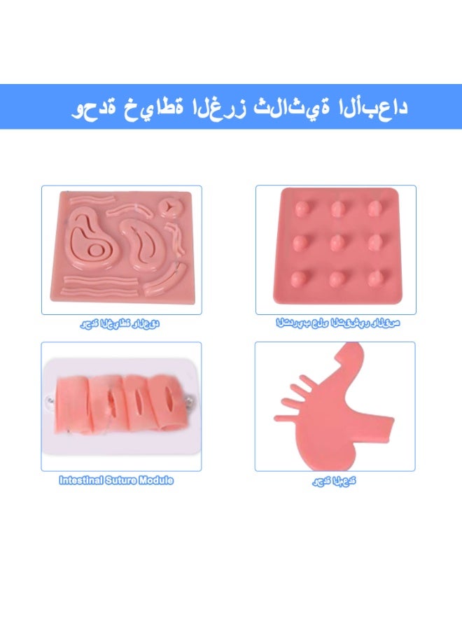 جهاز محاكاة الجراحة بالمنظار للتدريب على الجراحة طفيفة التوغل، أداة تدريب واقعية على الجراحة بالمنظار لتنمية مهارات الجراحين وطلاب الطب.----نموذج للجراحة بالمنظار + وحدتان للقولون - Image 5