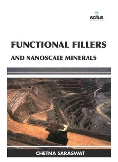 Functional Fillers and Nanoscale Minerals 