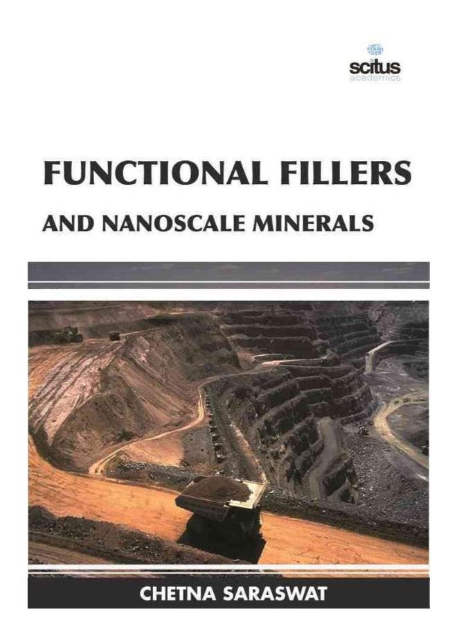 null - Functional Fillers and Nanoscale Minerals - Image 1