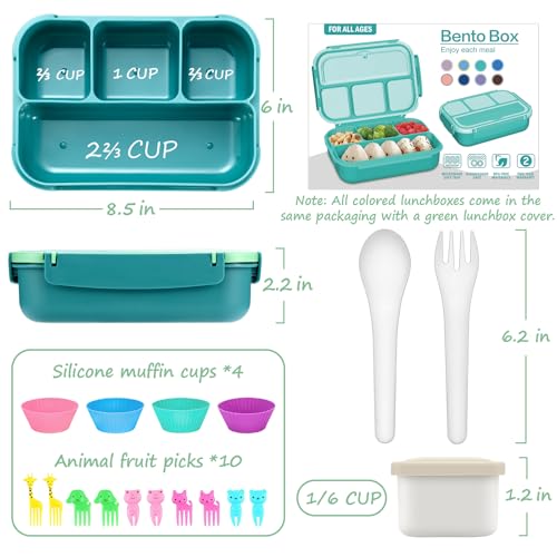 QQKO Bento Box for Kids Adults, School Toddler Lunch Box for Boys Girls, Lunch Box Containers with 4 Compartments, Sauce Container, Utensils, Food Picks and Muffin Cups for School, Green - Image 2