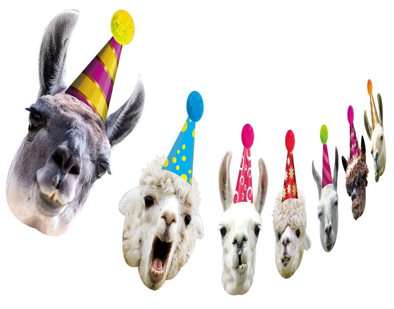 Silvima Llama Birthday Garland Funny Alpaca Face Portrait Bunting Hilarious Bday Party Decoration - Image 3