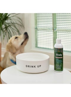 Lively Lively Pet Breath & Dental Health Water Additive  - Image 4