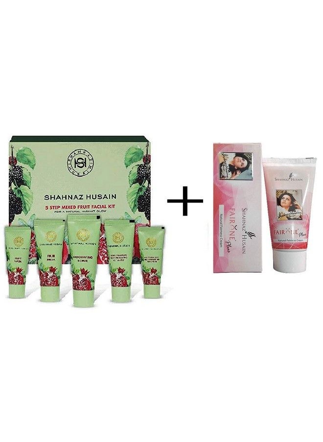 Shahnaz Husain - 5 Step Mixed Fruit Facial Kit With Fairone Natural Fairness Cream - Image 1