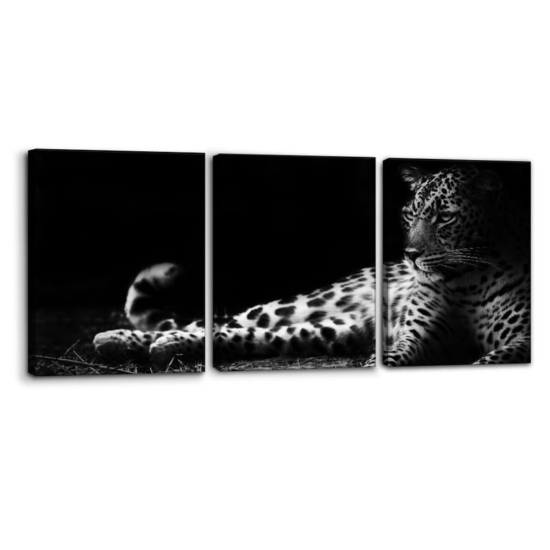 Pacimo Animals Wall Art Set of 3 - Framed Canvas Painting Prints with Black and White Leopard Portrait Design - Perfect for Modern Artwork Wall Decor for Living Room Bedroom Office - 12"x16"x3 Panels - Image 1